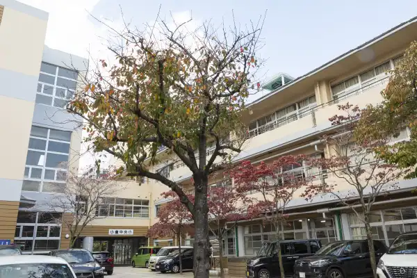 小倉中央小学校